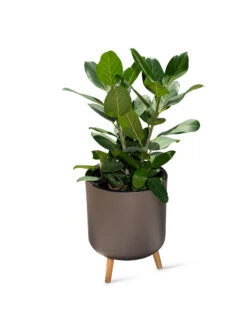 Ava Self-Watering Round Planter 11 Ava Self-Watering Round Planter -Garden Care Sale 8612692 0003