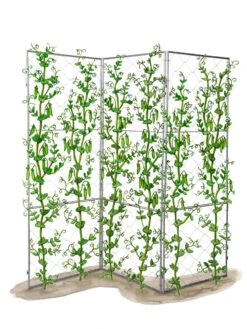 Chicken Wire Pea Trellis 21 Chicken Wire Pea Trellis -Garden Care Sale 8612718 peatrellis art chicken wire pea trellis