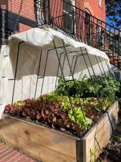 Cotton All Purpose Garden Cover -Garden Care Sale 8612816 01CUST