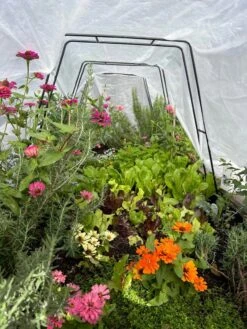 Zenith Garden Hoops, Set Of 4 -Garden Care Sale 8612816 01TEST