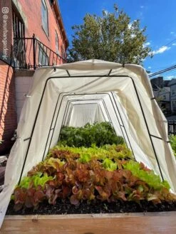 Cotton All Purpose Garden Cover -Garden Care Sale 8612816 03CUST