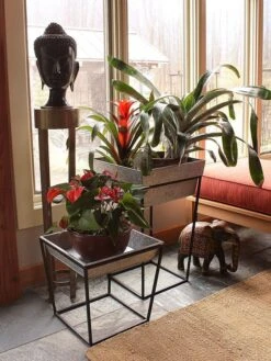 Achla Designs Arne Plant Stand 11 Achla Designs Arne Plant Stand -Garden Care Sale 8612900 03v