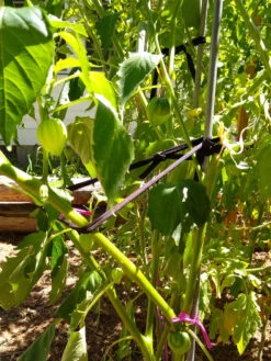 Farmyarn® Multipurpose Garden Tie, 2 Pack -Garden Care Sale 8612948 02v