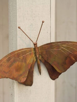 Butterfly Wall DƩcor