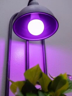 Kira Grow Light Hanging Planter -Garden Care Sale 8613232 5663