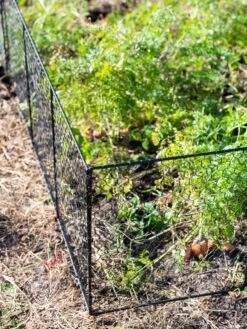Chicken Wire Critter Fence, 16" High -Garden Care Sale 8613249 0309
