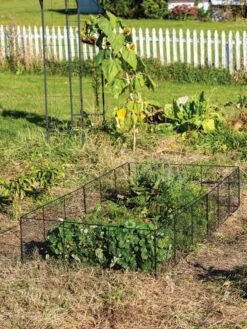 Chicken Wire Critter Fence, 16" High -Garden Care Sale 8613249 0329