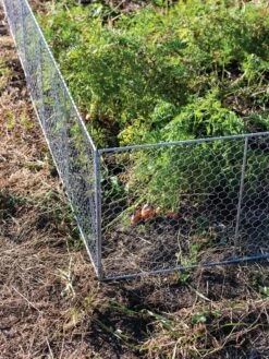 Chicken Wire Critter Fence, 16" High -Garden Care Sale 8613249 0358