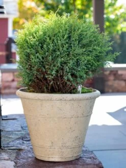 Self-Watering LavaStone® Anson Pot 10 Self-Watering LavaStone® Anson Pot -Garden Care Sale 8613255 0144