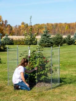 Tall Chicken Wire Critter Fence With Gate -Garden Care Sale 8613260 0044 1