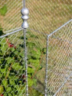Tall Chicken Wire Critter Fence With Gate -Garden Care Sale 8613260 0083 1