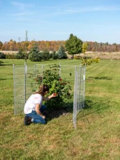 Tall Chicken Wire Critter Fence Extension Panel, Set Of 2 -Garden Care Sale 8613260 0090