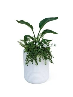Arden Round Planter -Garden Care Sale 8613267 0115
