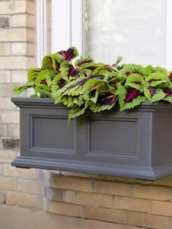 Fairfield Self-Watering Window Box, 2’ 11 Fairfield Self-Watering Window Box, 2’ -Garden Care Sale 8613268 08V tif