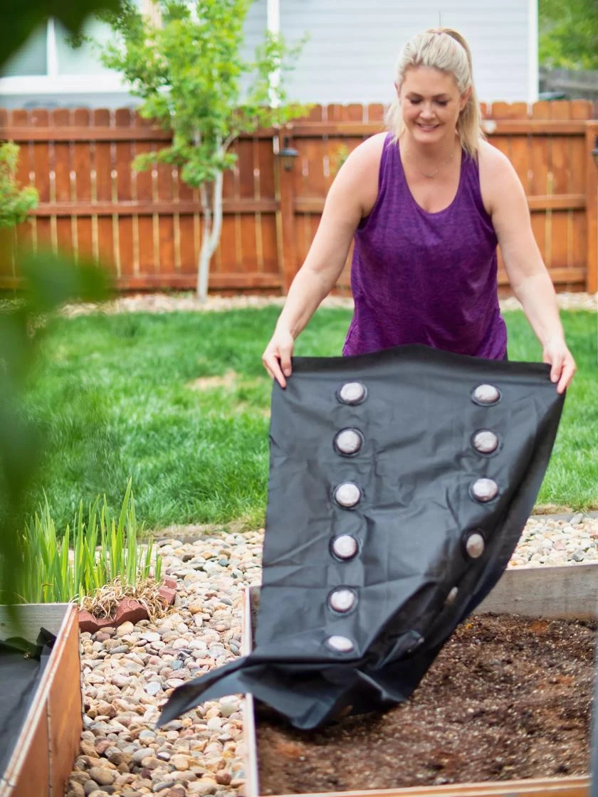 SeedSheets Organic Vegetable Garden, Spring Perfection, 4' X 8' 3 SeedSheets Organic Vegetable Garden, Spring Perfection, 4' X 8' - Image 3