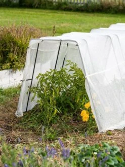 Zenith Garden Hoops, Set Of 4 -Garden Care Sale 8613313 0133