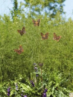 Flutterer Garden Stake 13 Flutterer Garden Stake -Garden Care Sale 8613372 01V tif