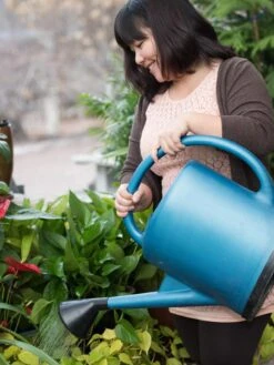 French Blue Watering Can -Garden Care Sale EmilyHoangSquare 0151 tif
