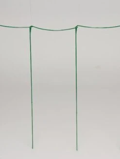 Curved Linking Stakes -Garden Care Sale GS35241 04S tif