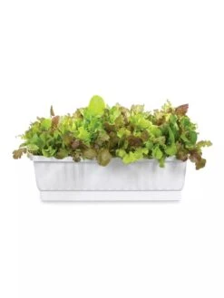31" Self-Watering Window Box -Garden Care Sale GS36523 01Z 3 4