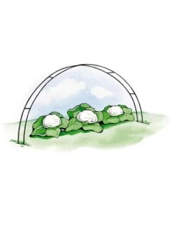 Super Hoops, Set Of 6 -Garden Care Sale GS39423 02S 3 4