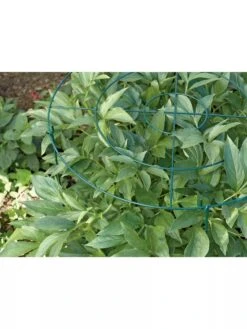 Grow Through Supports, Set Of 3 7 Grow Through Supports, Set Of 3 -Garden Care Sale GS40172 01 1