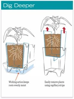 Stoneware Self-Watering Windowsill Planters, Set Of 2 -Garden Care Sale hiw 8593943 jpg