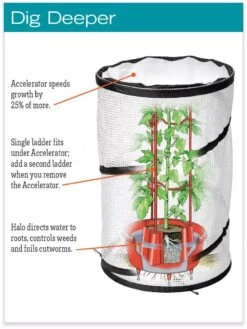 Tomato TLC Kits, Set Of 3 -Garden Care Sale hiw 8594214 jpg